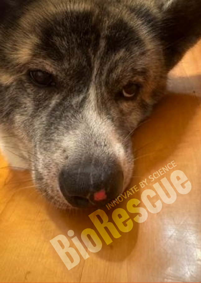 Screenshot 2025-11-03 170131.png