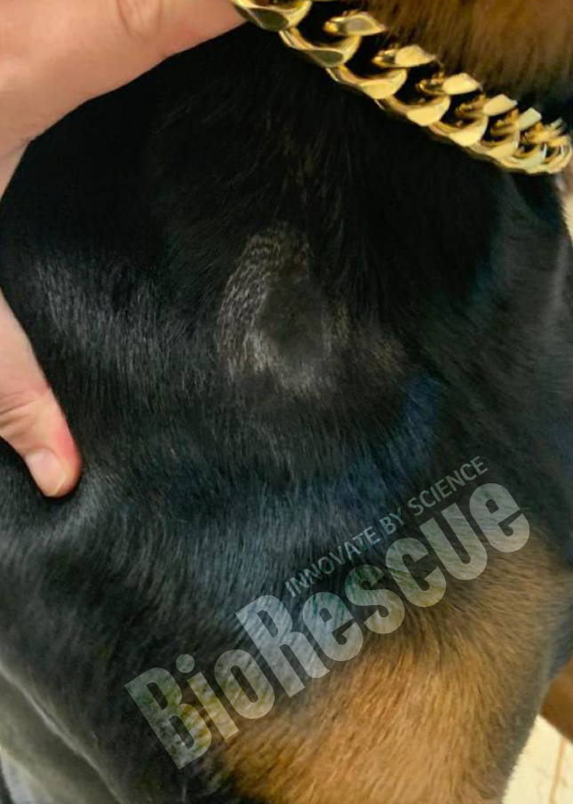 Screenshot 2025-11-03 170302.png