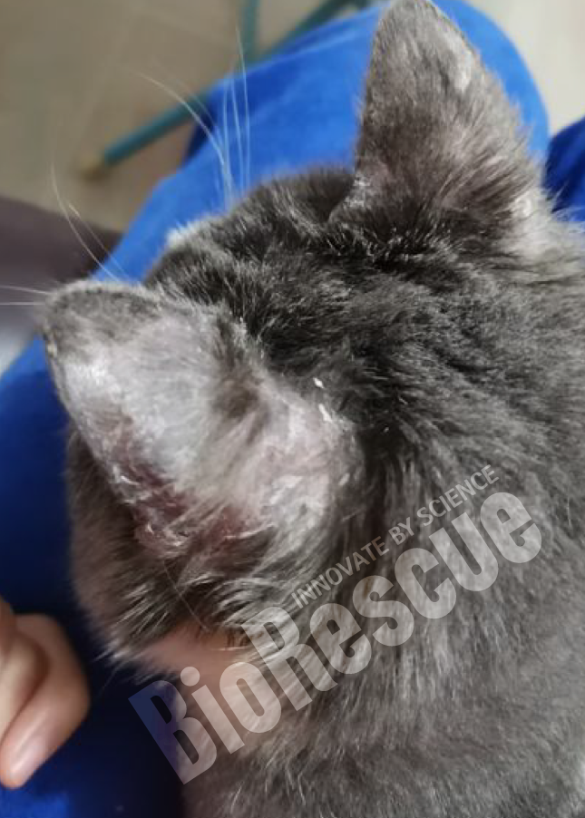 Screenshot 2025-11-03 165840.png