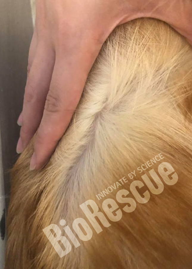 Screenshot 2025-11-03 170017.png