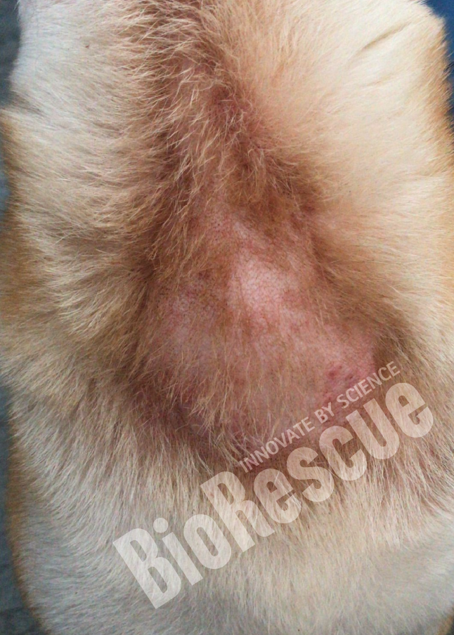 Screenshot 2025-11-03 170158.png