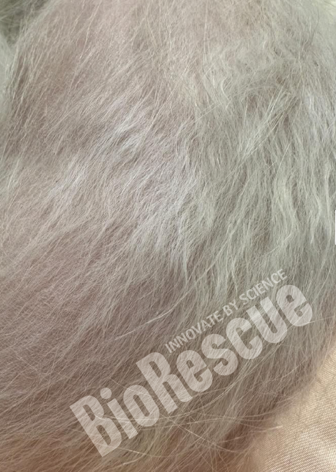 Screenshot 2025-11-03 170401.png