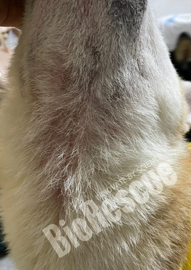 Screenshot 2025-11-03 170212.png