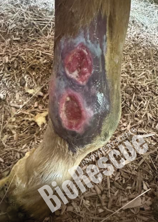 Screenshot 2025-11-03 170445.png