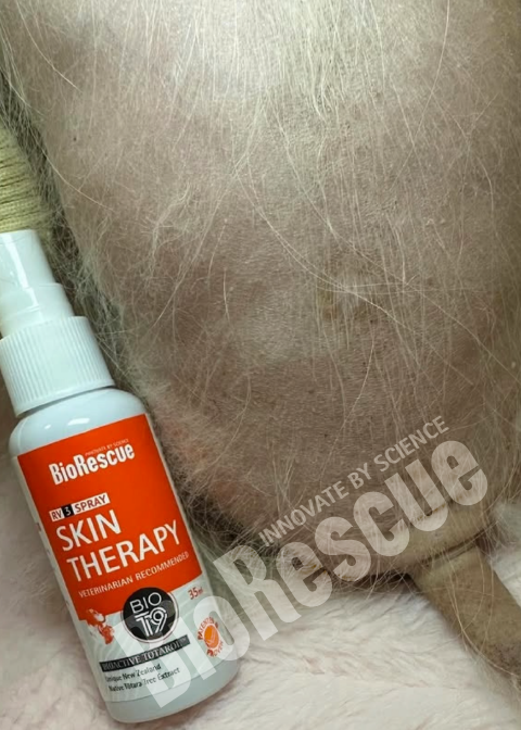 Screenshot 2025-11-03 170340.png