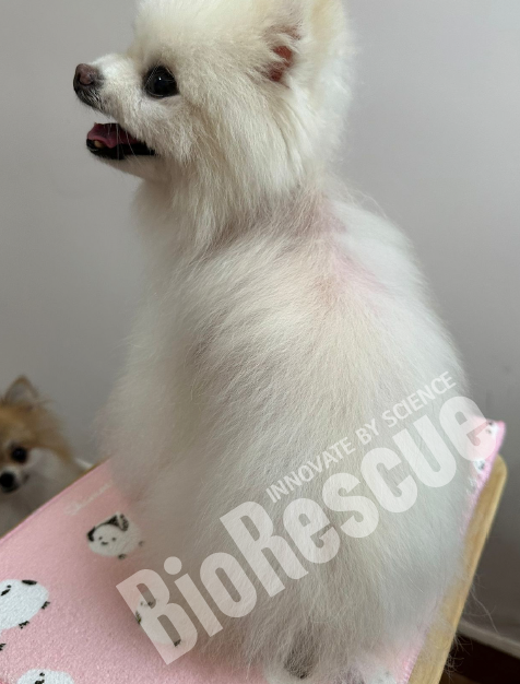 Screenshot 2025-11-03 170413.png