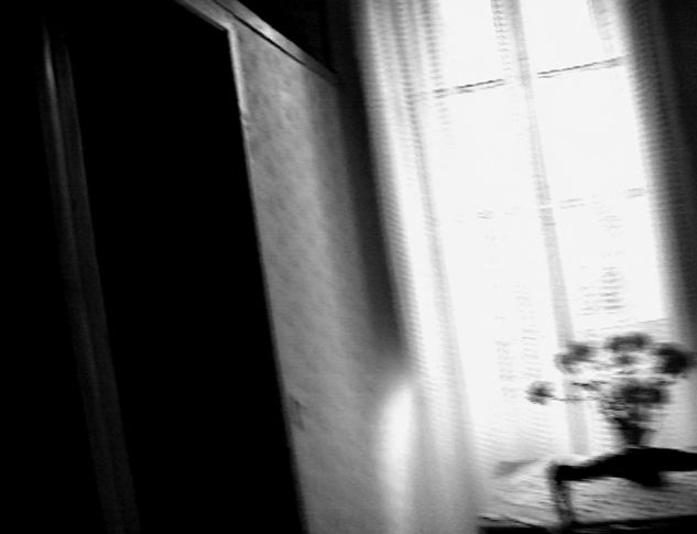 collectif yaj photographie numérique contemporaine photography contemporary art moderne modern artwork œuvre black and white noir et blanc briony lodge irene adler irène sherlock holmes conan doyle flowers fleurs vase chambre room fenêtre window oblique ghost fantôme