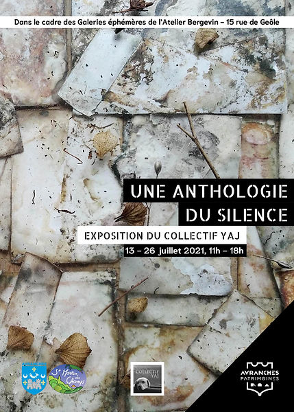 collectif yaj art contemporain moderne modern contemporary photographie photography mixed media artworks exhibition exposition mairie hall accueil tableaux cadres vernissage lampes carrelage plante verte plant normandie normandy France une anthologie du silence avranches mairie Atelier Bergevin argentique fragments gothic gothique galerie éphémère papiers papers hortensia