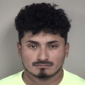 Darwin Orlando Del Cid