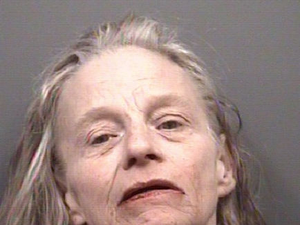 Salisbury Woman Charged in Domestic Assault Involving Firearm