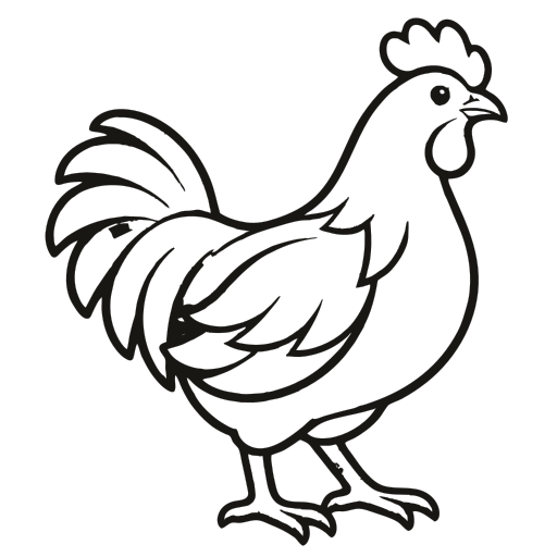 chicken chicken