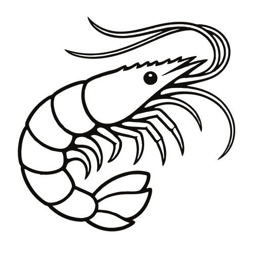 shrimp shrimp