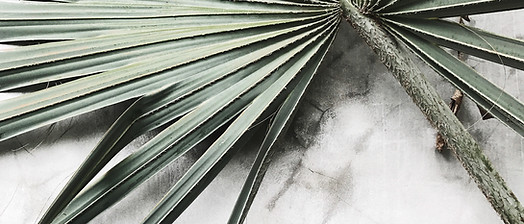 FloralDeco_018.jpg
