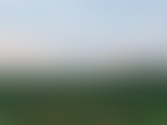 The Chinese in the prairie: Chinese Iowans’ reactions to the COVID-19 pandemic