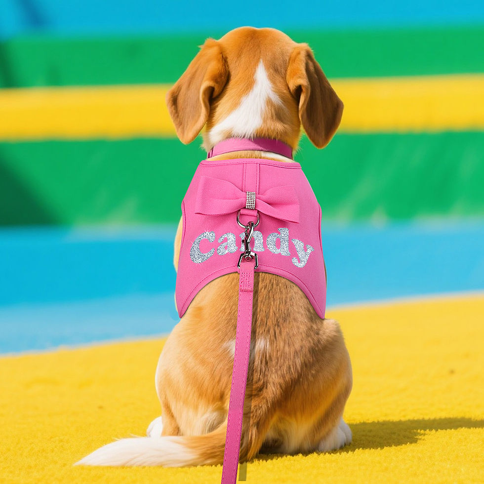 Thumbnail: Personalized Dog Harness and Leash Set Free Print Name Pet Vest Harness Lead wit