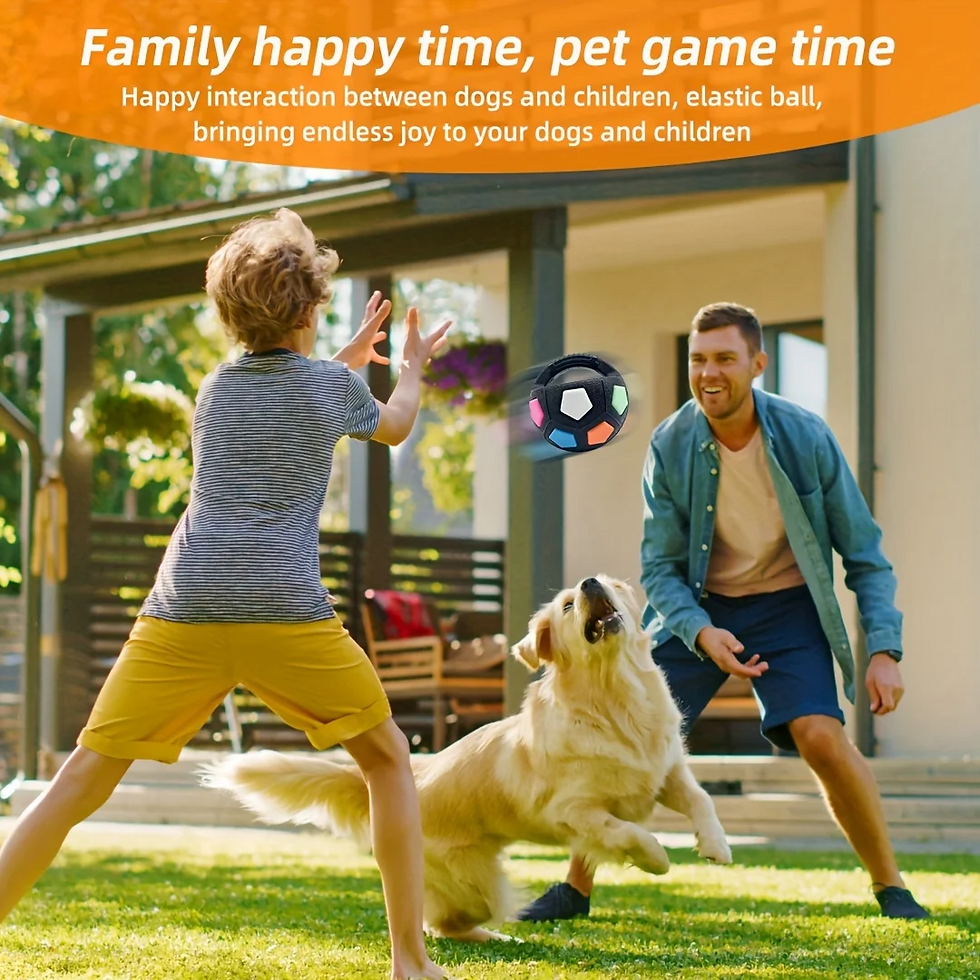 Thumbnail: Dog Toys Soccer Ball with Handle Outside Squeaky Floating for Tug of War Dog Tug