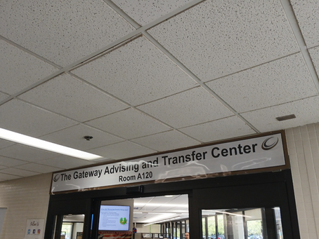 Beginning Again: Insight on Transferring and Transferring Students