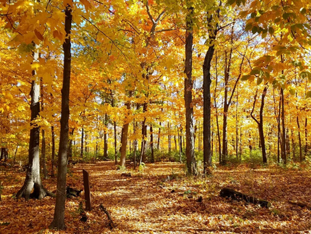 Getting Ready for Autumn