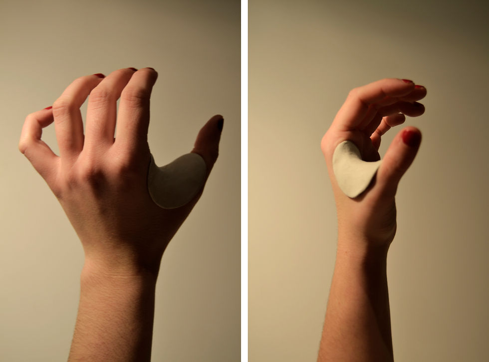 Thumbnail: Adherence, 2013
