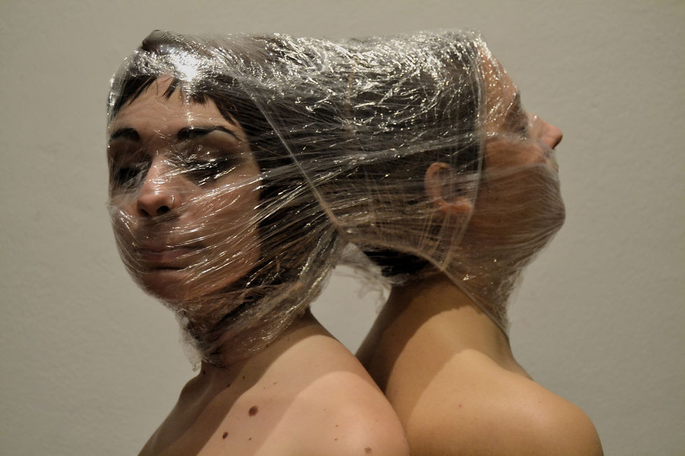 Thumbnail: Simbiosis 2015