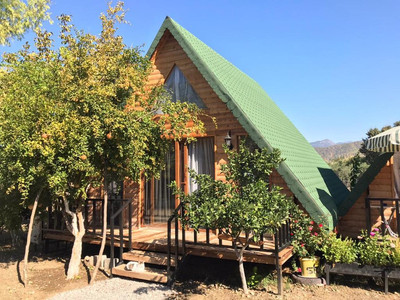 bungalov lion house bungalov turkey