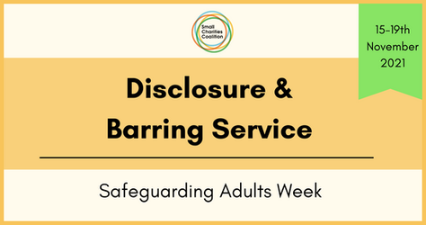The Disclosure and Barring Service - Cathy Taylor