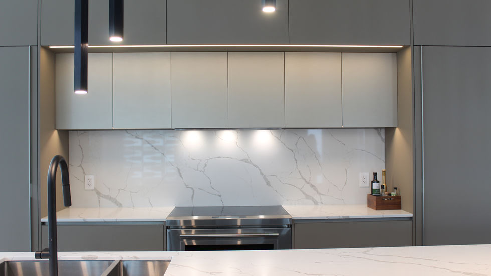 High-end modern kitchen with custom cabinetry imported from Italy







