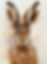 Christine_Cavataio_Hare_Brain_This_painting_is_in_ink_and_oil_paint_on_panel.jpeg