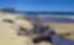 Anne_Welch_High_Tide_Acrylic_on_Canvas.JPG