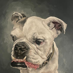 Shaiann_Merriman_English_Bulldog_Water_mixable_oils.jpeg