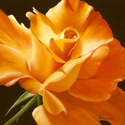 Nancy_Palmisano_Love_Is_a_Rose____oil.jpg