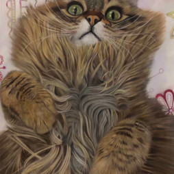 Carina_Imbrogno_Portabello__Pastels.jpeg