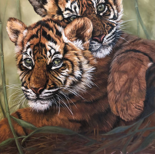 Joye DeGoede - Bronze Award