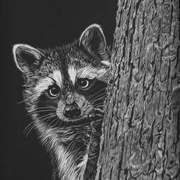 Sonja_Jones_Is_The_Coast_Clear_Scratchboard_8_x_10.jpeg