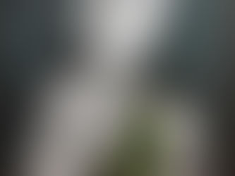 Rhonda Shawaga (R.Mae), Artist of the Month