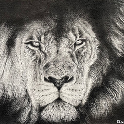 Elena_Ansaloni_The_King_Charcoal.jpeg