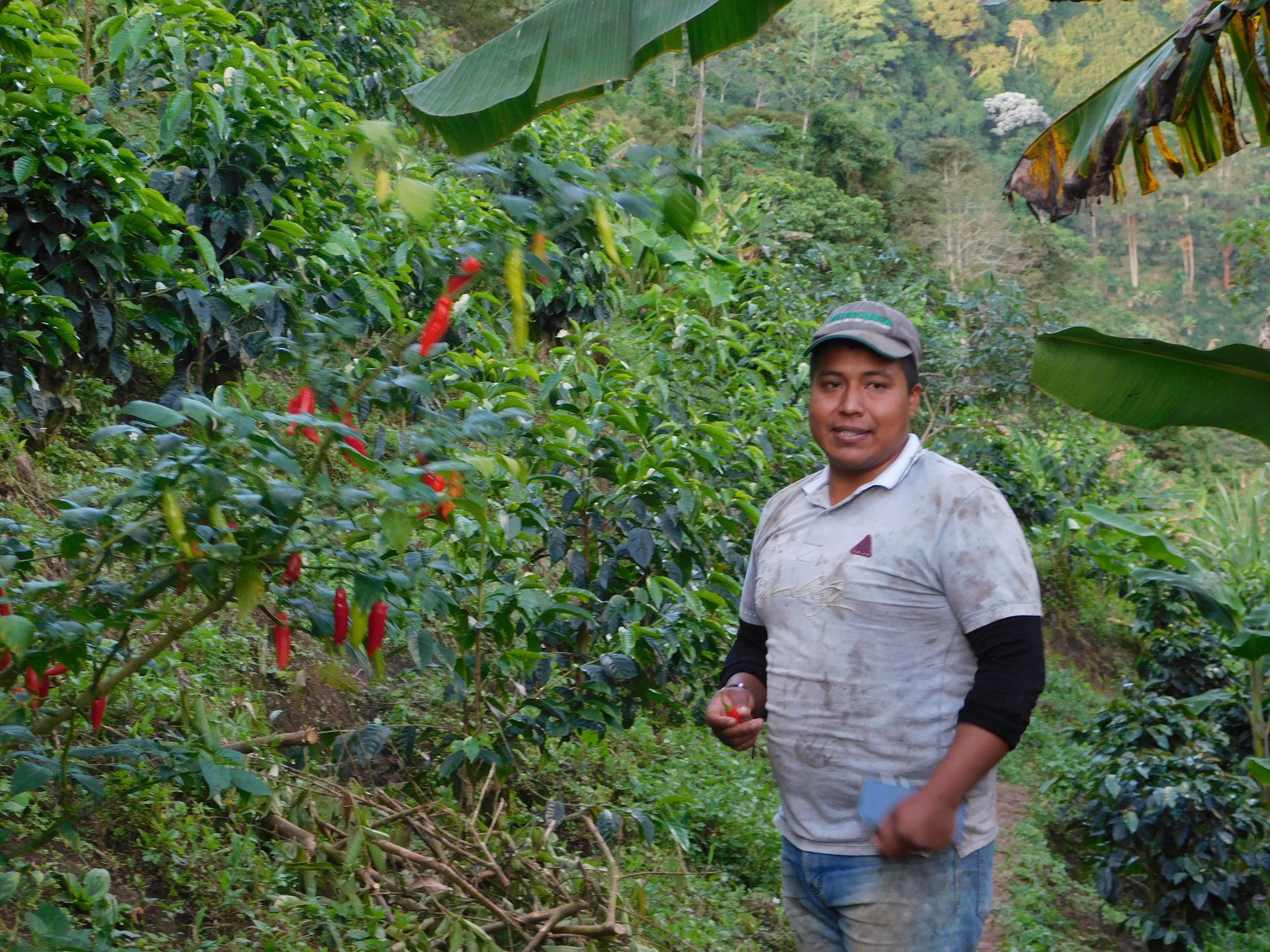 Colombia La Esmeralda natural