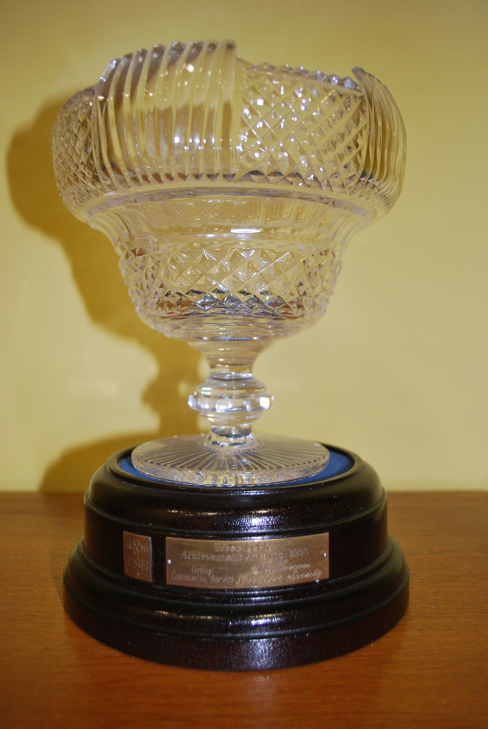 Skibbereen Geriatric Society Ltd.