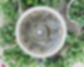 IMG_6245_edited.png