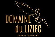 Liziec_Vannes.jpg