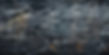 weathered-textured-black-wall-full-character_website.jpg