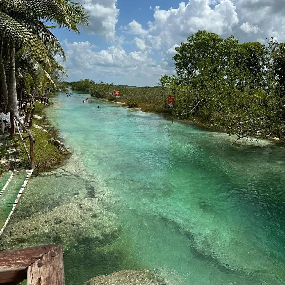 Agua cristalina fluyendo entre estromatolitos y vegetación en los rápidos.
