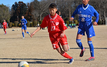DSC_0137.jpg