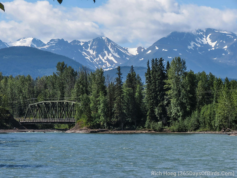 Telkwa Bridge