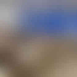 Perspectivă din spatele clasei, surprinzând rândurile de bănci ocupate de elevi în timpul unei activități educaționale.