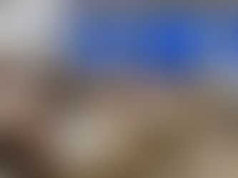 Concurs de Caligrafie la Wendhill Academy - arta scrisului frumos, între tradiție și educație modernă