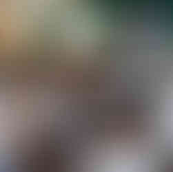 Un grup de elevi văzuți din spate, asistând la o prezentare susținută de o coordonatoare în fața unui ecran de proiecție.