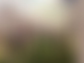 Un nou început la Wendhill Academy International School