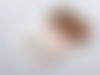 Print Collateral: Guides, Reports, and Wholesale Catalog