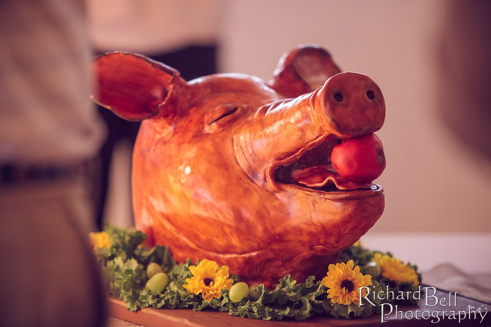 Here Piggy Piggy!